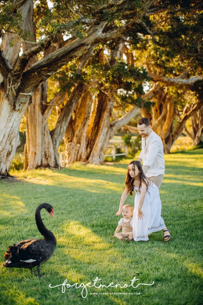 faimily photography centennial park sydney 70