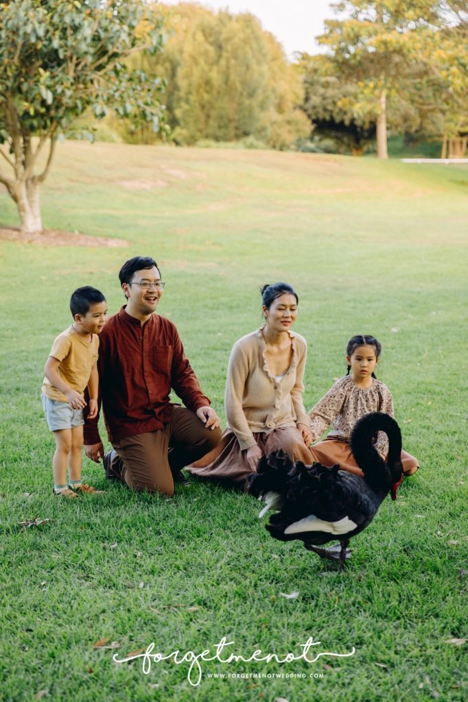 blossom brook daniel sabrina88