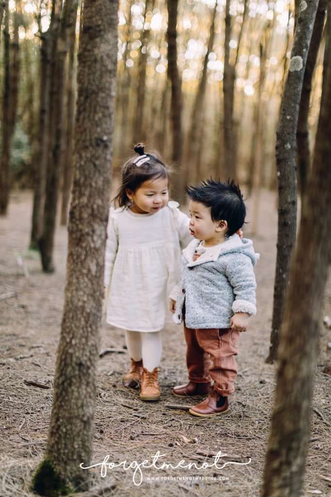 family photography bicentennial park 66