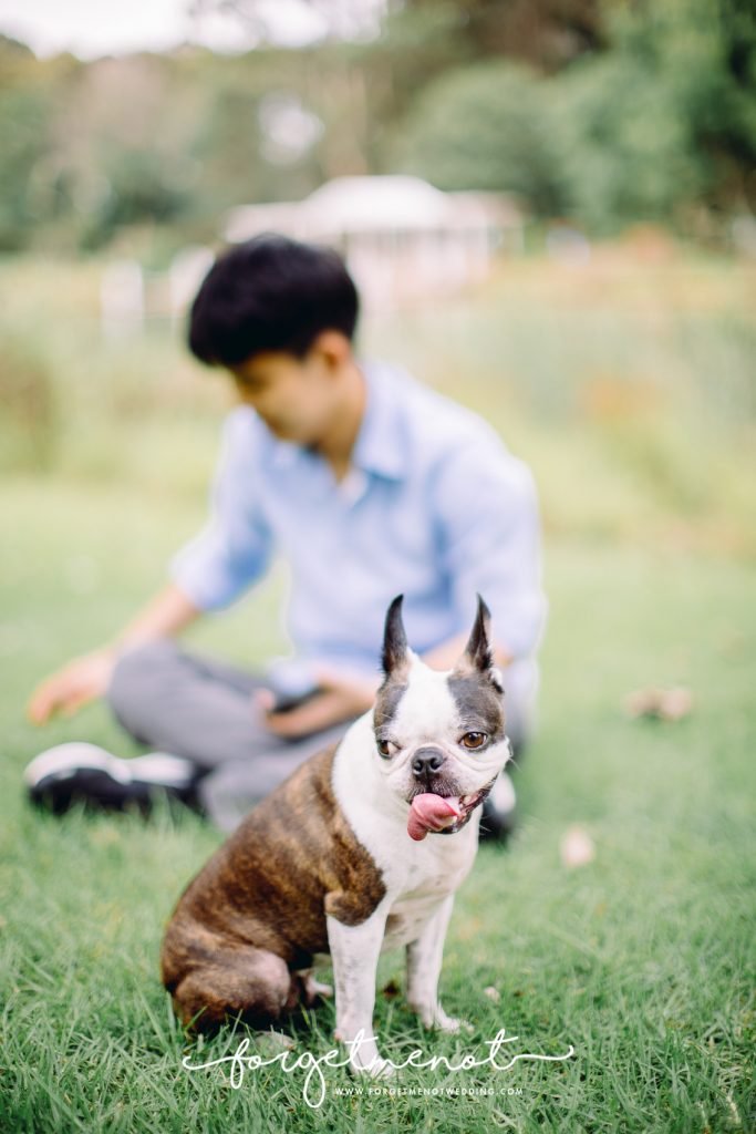 family photography at fagan park 18