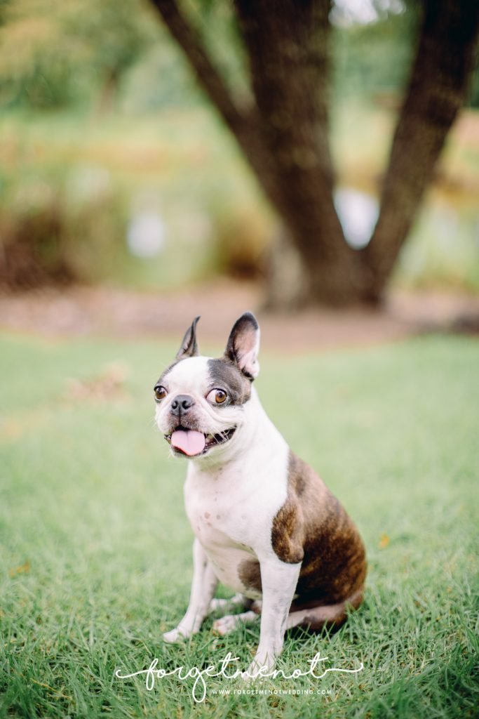 family photography at fagan park 19