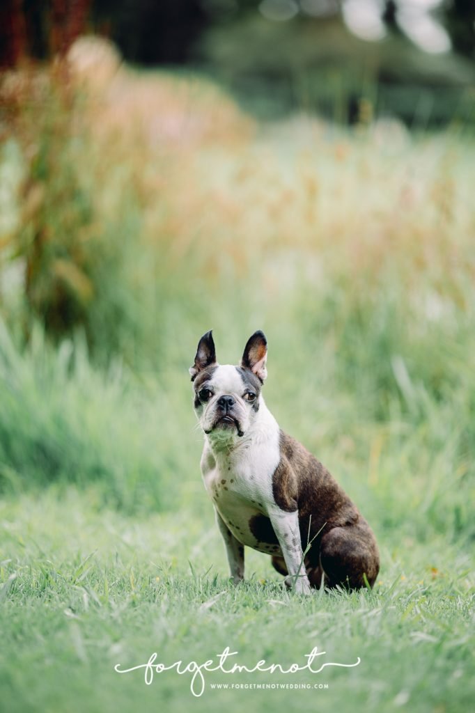 family photography at fagan park 41
