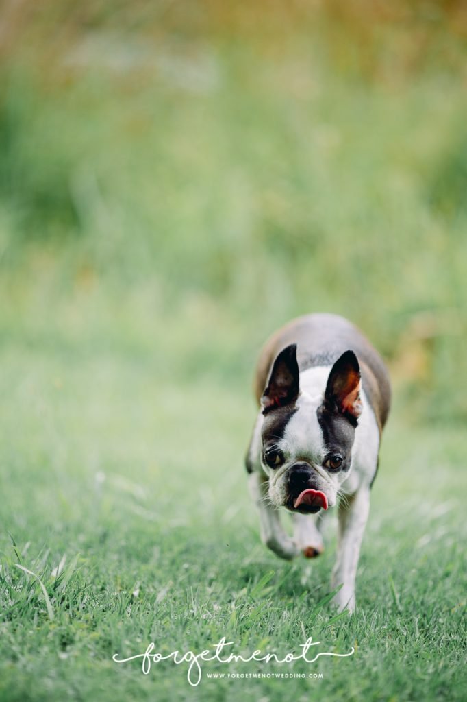 family photography at fagan park 42