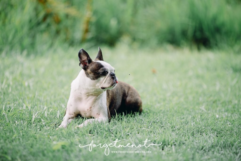 family photography at fagan park 43