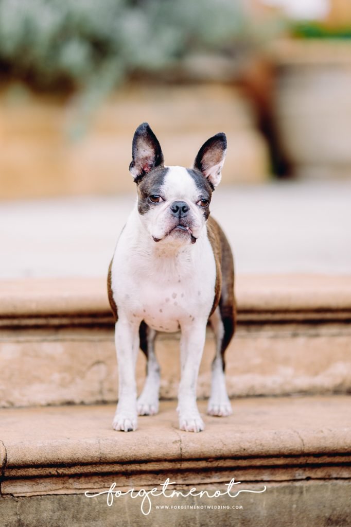 family photography at fagan park 47