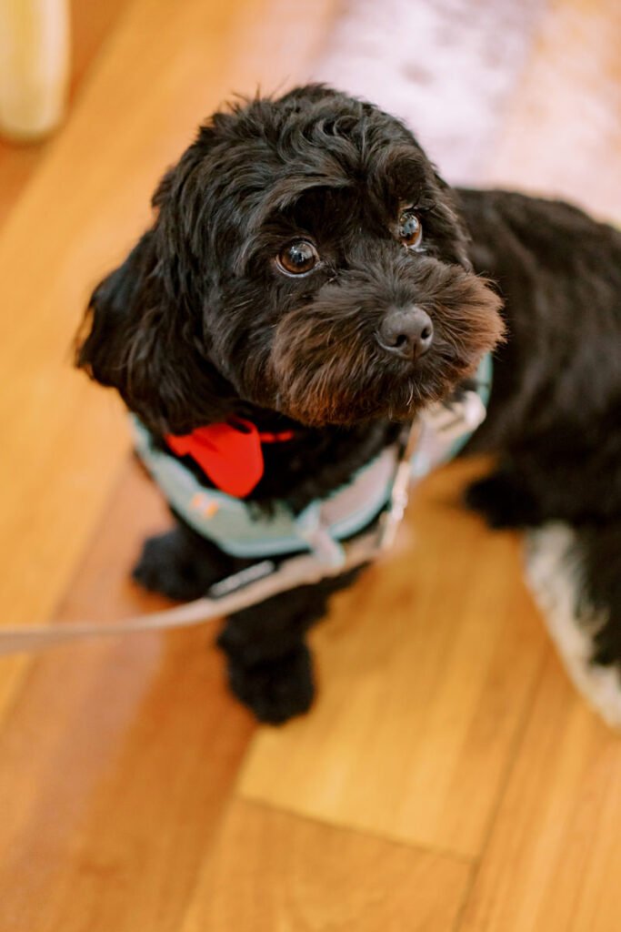 20241015 Monica David 0035